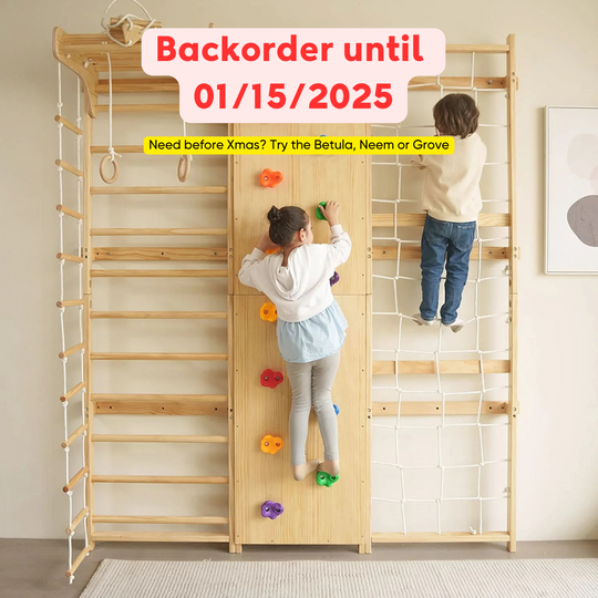 Walnut - 9-in-1 Swedish Ladder Wall Gym and Climber