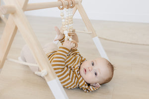 Wooden Baby Gym + White Toys