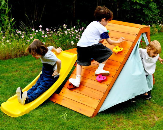 Palm 5-in-1 Outdoor and Indoor Playground Playset