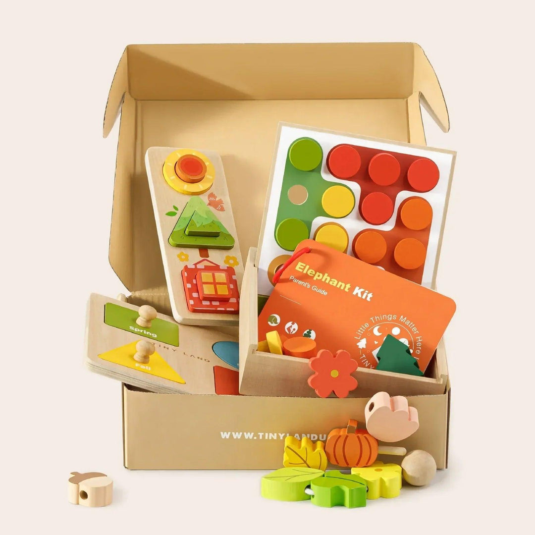 Jouets Montessori pour les tout-petits (19-24 mois) – Shop KidStrong